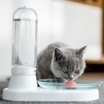 utilizare fantana apa pisici